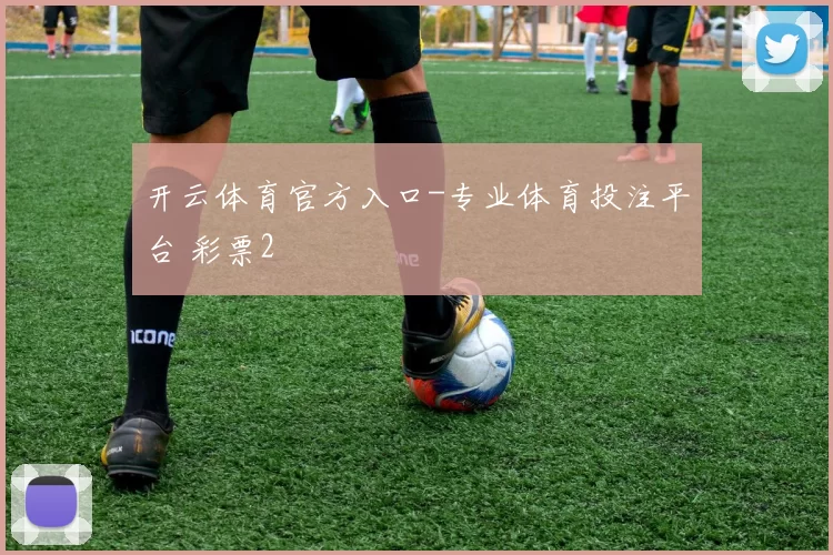 开云体育官方入口-专业体育投注平台 彩票2