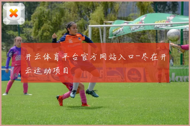 开云体育平台官方网站入口-尽在开云运动项目
