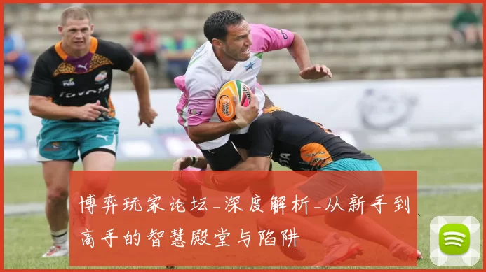 博弈玩家论坛_深度解析_从新手到高手的智慧殿堂与陷阱