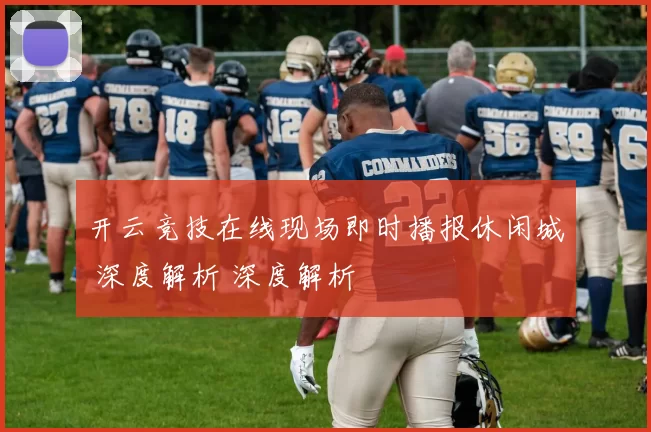 开云竞技在线现场即时播报休闲城 深度解析 深度解析