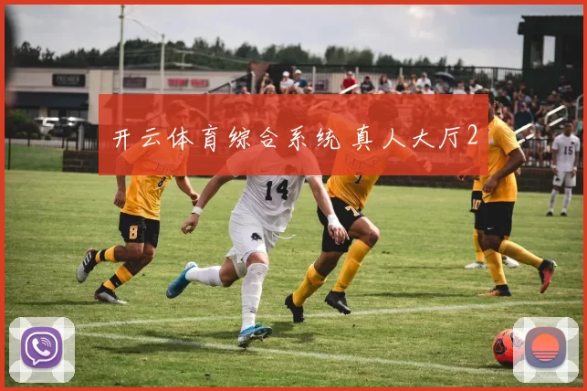 开云体育综合系统 真人大厅2