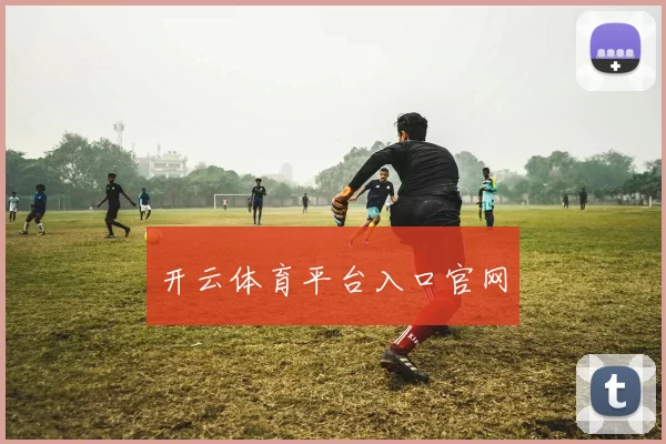 开云体育平台入口官网
