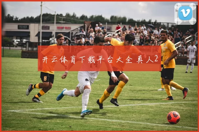 开云体育下载平台大全 真人2