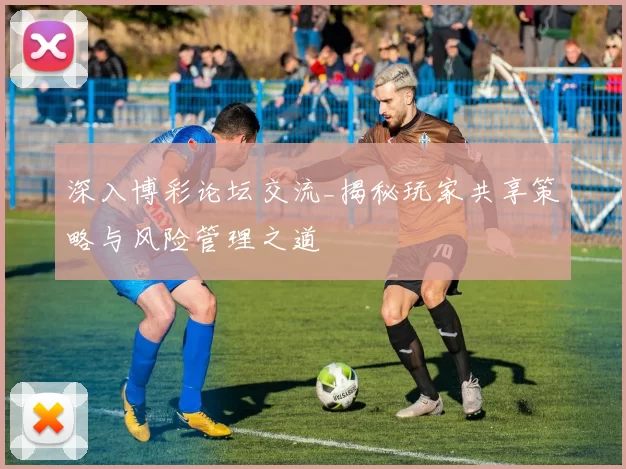 深入博彩论坛交流_揭秘玩家共享策略与风险管理之道