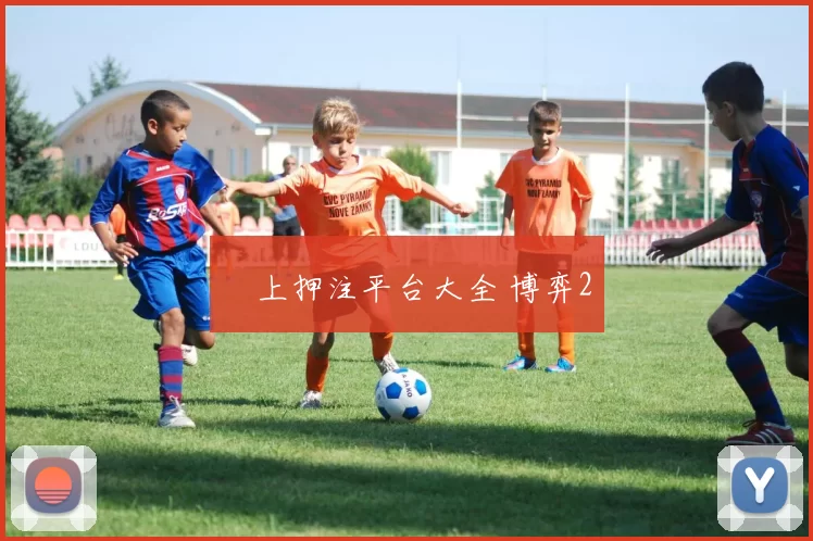 網上押注平台大全 博弈2