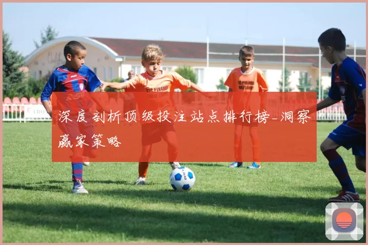 深度剖析顶级投注站点排行榜_洞察赢家策略