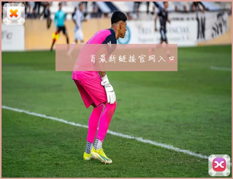 開雲體育最新链接官网入口