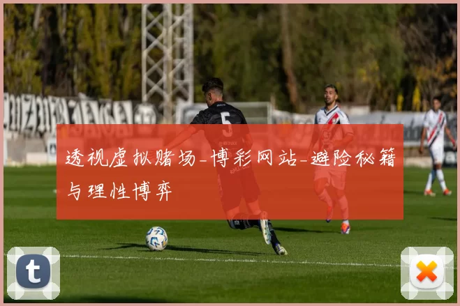 透视虚拟赌场_博彩网站_避险秘籍与理性博弈