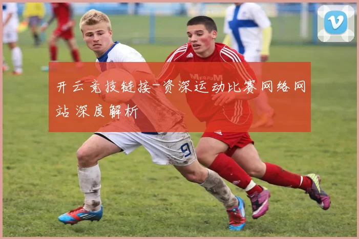 开云竞技链接-资深运动比赛网络网站 深度解析