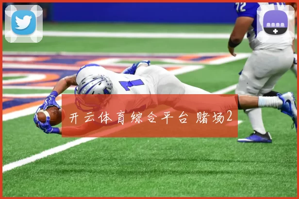 开云体育综合平台 赌场2