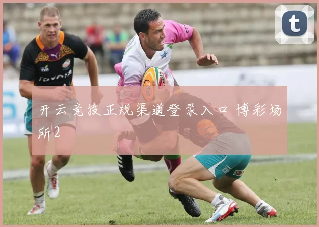 开云竞技正规渠道登录入口 博彩场所2