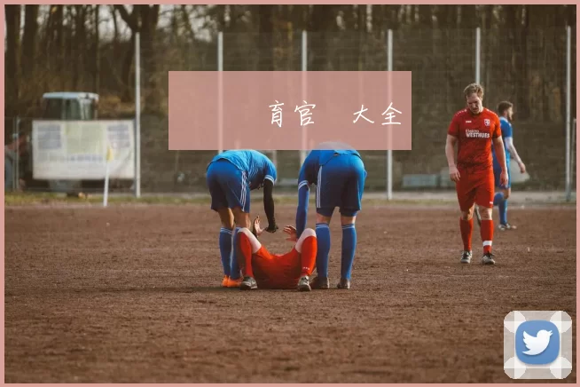 開雲體育官網大全