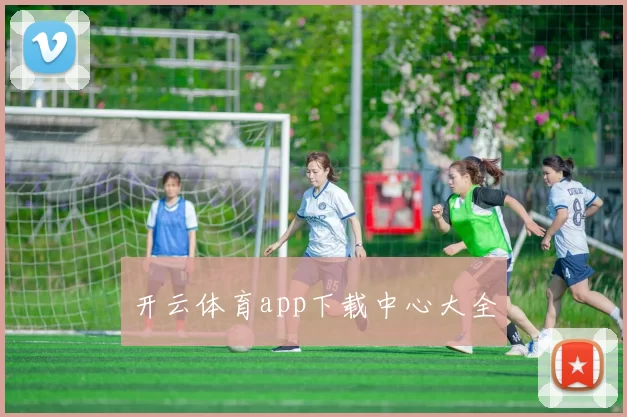 开云体育app下载中心大全