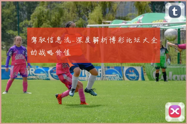 驾驭信息流_深度解析博彩论坛大全的战略价值