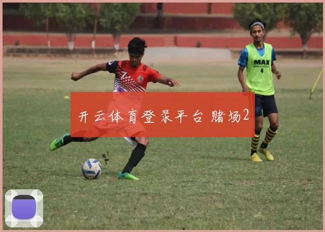 开云体育登录平台 赌场2