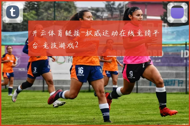 开云体育链接-权威运动在线竞猜平台 竞技游戏2
