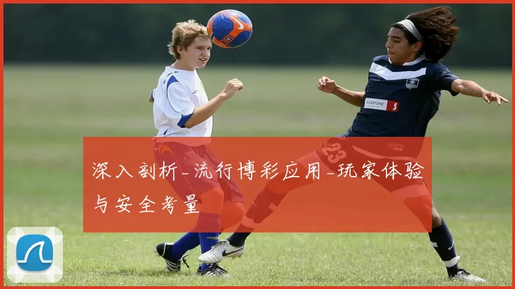 深入剖析_流行博彩应用_玩家体验与安全考量